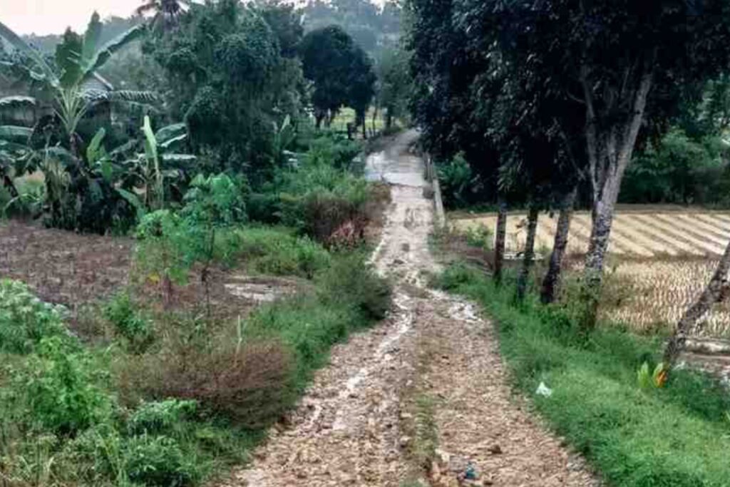 Jalan Rusak di Desa Montorna Jadi Sorotan Warga, Akses Pendidikan hingga Ekonomi Terdampak