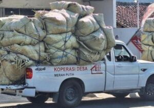 Viral Mobil KDMP Angkut Tembakau di Madura, Kodim Pamekasan Telusuri Asal Kendaraan